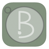 icon